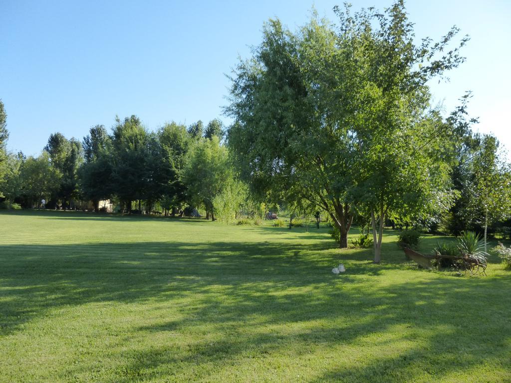 Vila Agriturismo Ai Carpini Marcon Exteriér fotografie